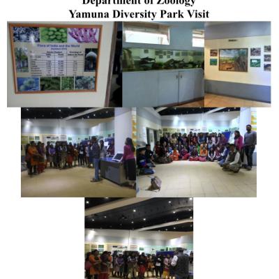 Yamuna Diversity Park Visit